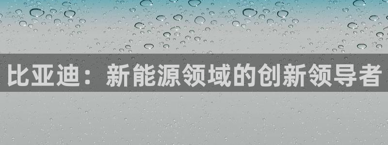 球盟会官方入口:比亚迪:新能源领域的创新领导者