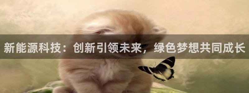 球盟会综合app下载