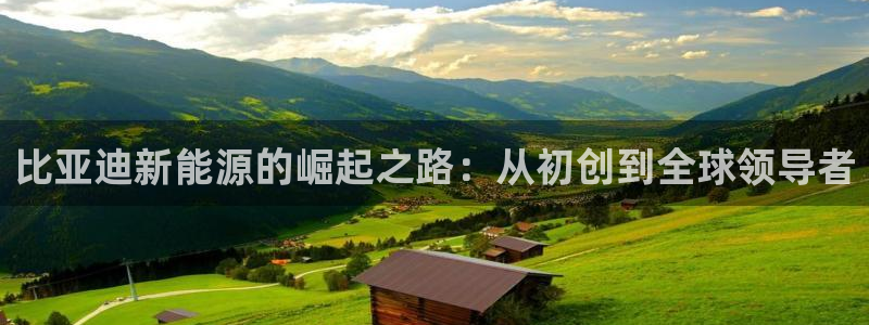 球盟会中国官方网站：比亚迪新能源的崛起之