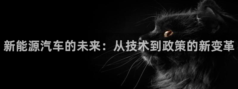 球盟会官方app首页入口：新能源汽车的未