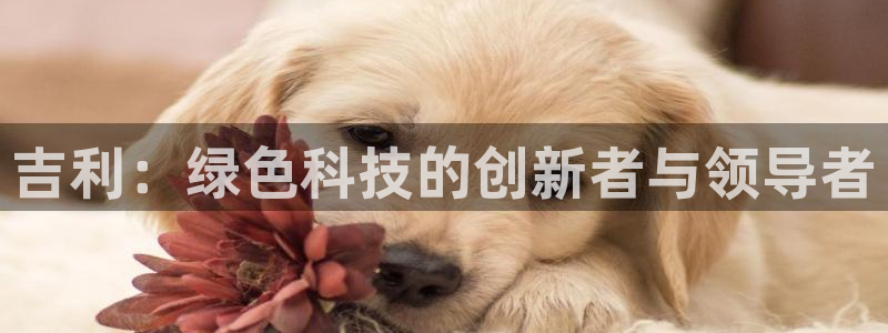 球盟会黑款吗：吉利：绿色科技的创新者与领