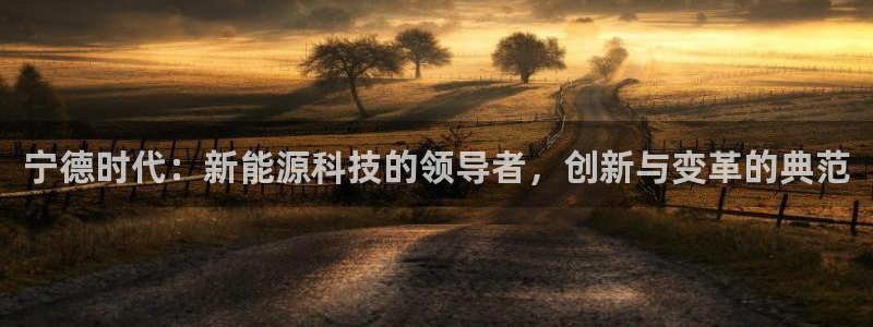 球盟会官方网页登录:宁德时代:新能源科技的领导者,创新与变革