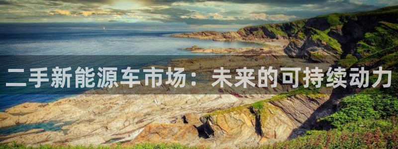 球盟会可靠不：二手新能源车市场：未来的可