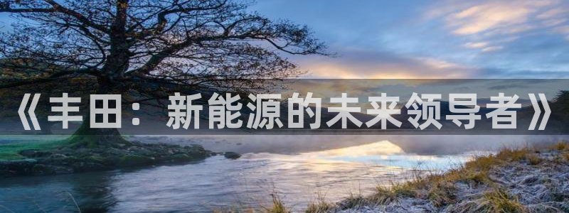 球盟会官方网站入口:《丰田:新能源的未来领导者》