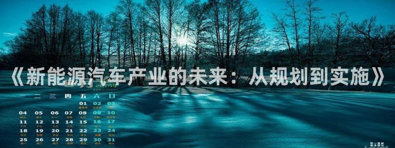 球盟会唯一:《新能源汽车产业的未来:从规划到实施》