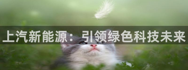 球盟会官方入口:上汽新能源:引领绿色科技未来