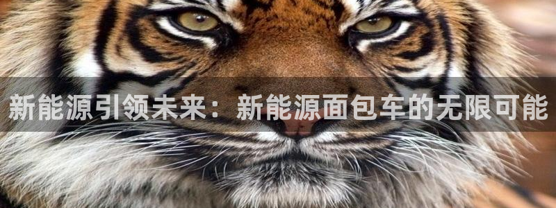 球盟会优惠领取网站是真的吗