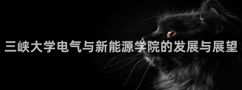 球盟会app最新地址在哪找:三峡大学电气与新能源学院的发展与