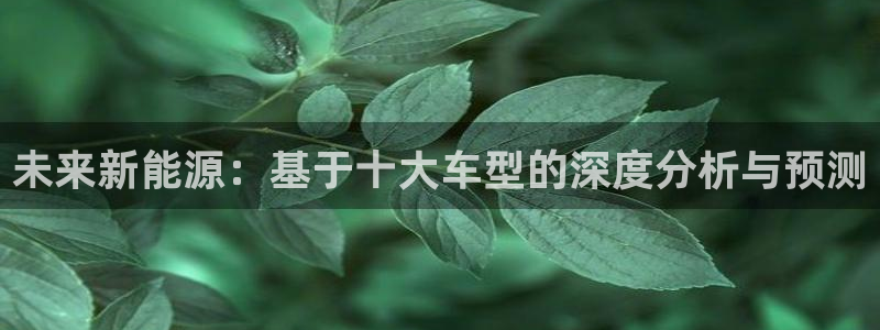球盟会qmh电子网页版登录：未来新能源：