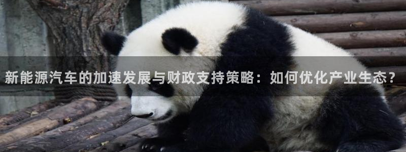 球盟会里面有打牌的嘛是真的吗:新能源汽车的加速发展与财政支持
