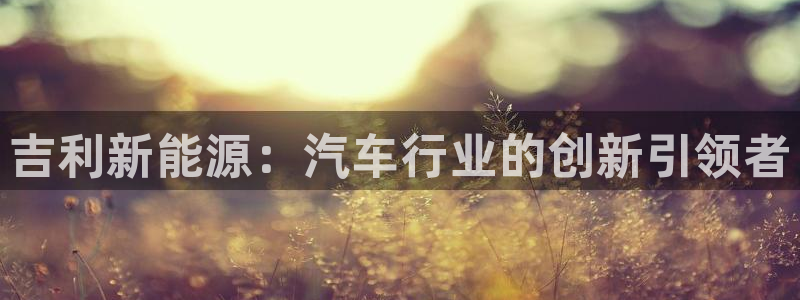 球盟会网址多少:吉利新能源:汽车行业的创新引领者