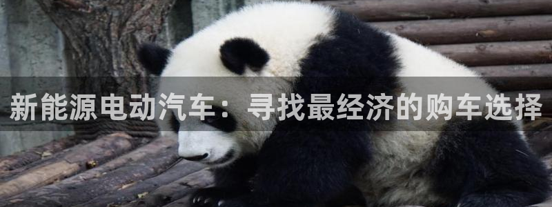 球盟会qmh - 球盟会官方网站：新能源