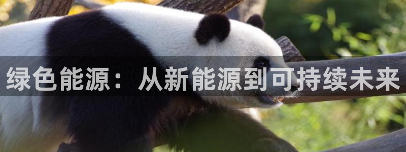 球盟会在线登录官网:绿色能源:从新能源到可持续未来