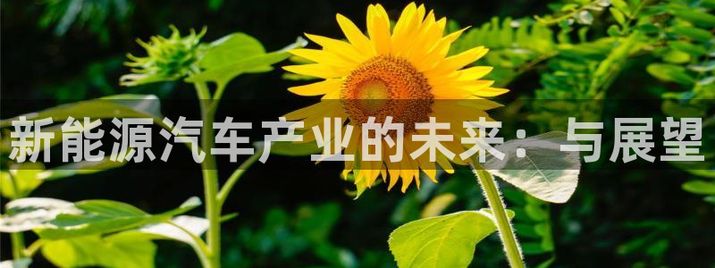 球盟会里面有打牌的嘛知乎:新能源汽车产业的未来:与展望