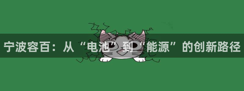 球盟会和中欧合作吗:宁波容百:从“电池”到“能源”的创新路径