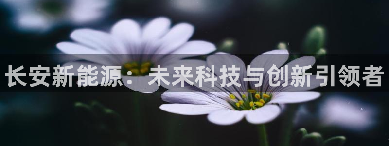 球盟会app网址多少:长安新能源:未来科技与创新引领者