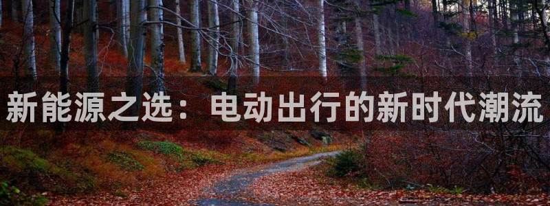 球盟会提款支付宝怎么样