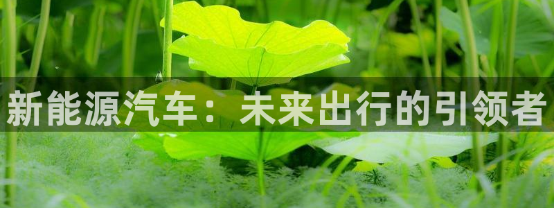 球盟会在线登录