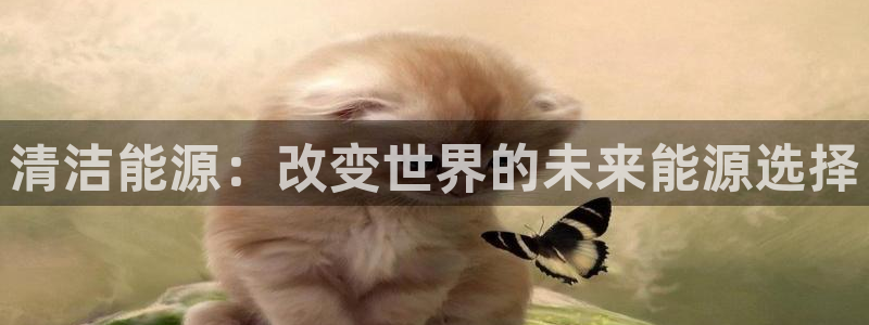 球盟会app安装:清洁能源:改变世界的未来能源选择