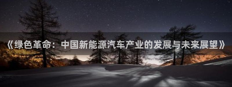 球盟会官方平台入口:《绿色革命:中国新能源汽车产业的发展与未