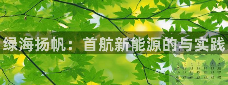 球盟会头号玩家是谁:绿海扬帆:首航新能源的与实践