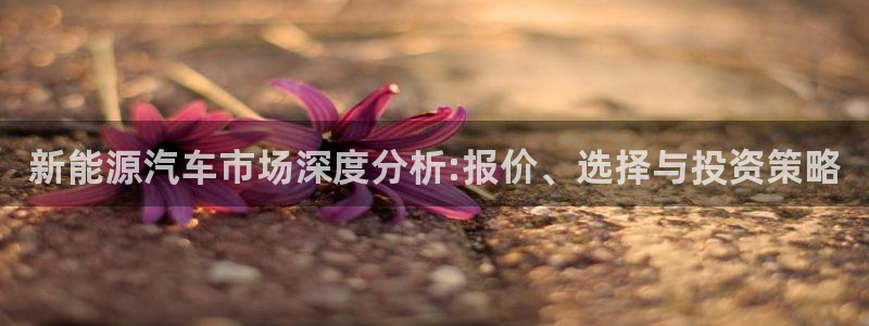 球盟会app最新地址在哪里：新能源汽车市