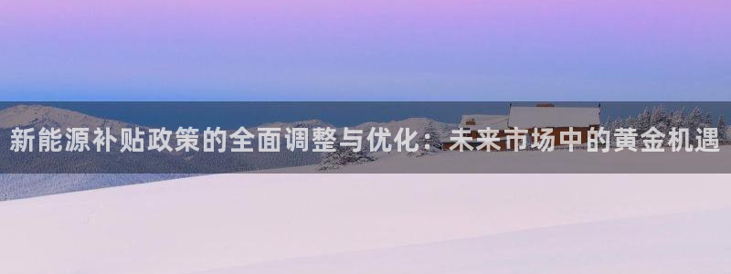 球盟会和中欧：新能源补贴政策的全面调整与