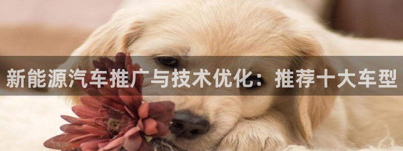 球盟会里面有打牌的嘛知乎